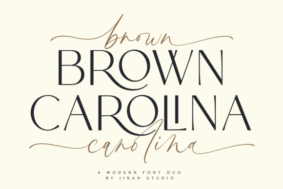 Brown Carolina Duo: A Practical Evaluation of a Hybrid Type System